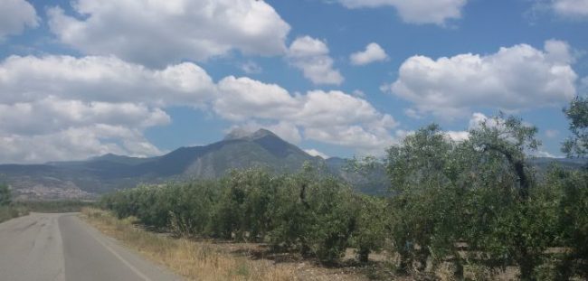 20170518_115412-702×336